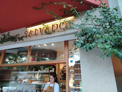 Salvador Deli — Saavedra