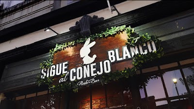 Sigue al Conejo Blanco "La Madriguera" - Bar temático — Palermo