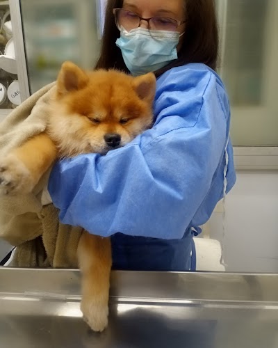 Veterinaria Animal Vet — Belgrano