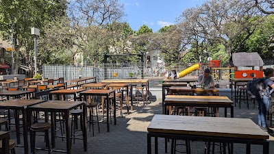 Baum Catrina — Palermo