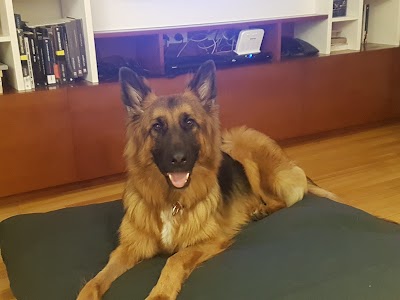 Veterinaria Del Pilar — Recoleta