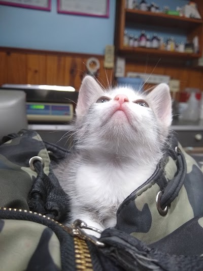 Veterinaria Dr. Paludi — Barrio Norte