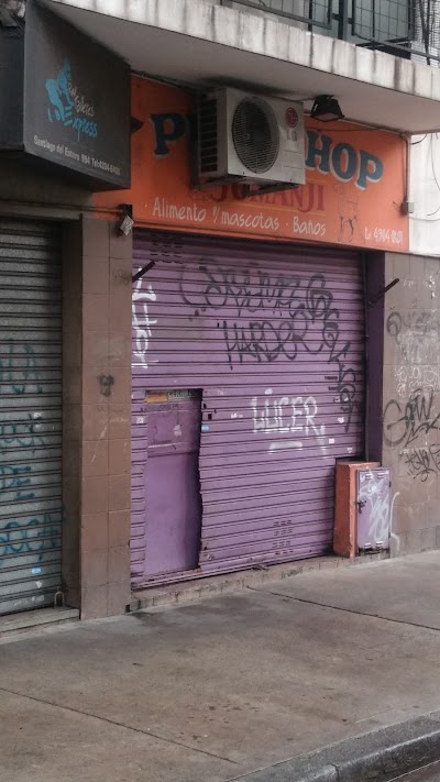 Pet Shop — Constitución