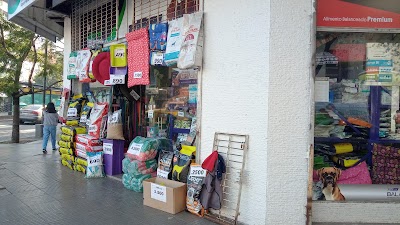 Pet Shop Maskot Chef — Núñez