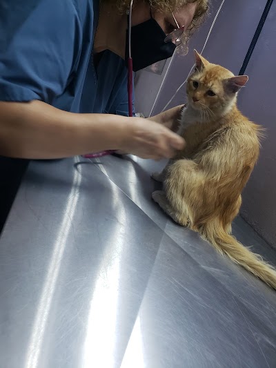 Veterinaria "El Puente" — Nueva Pompeya