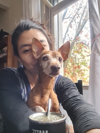 NUESTRO HOGAR Guardería canina familiar pensionado — Núñez