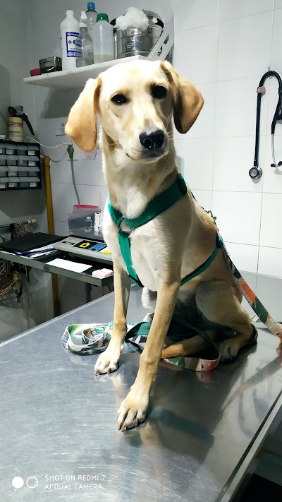 Veterinaria Plaza — Belgrano