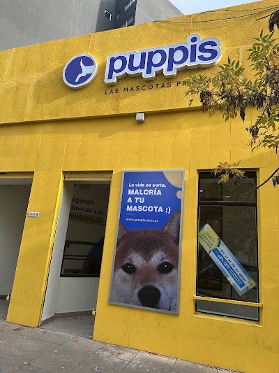 Puppis Pet Shop — Saavedra