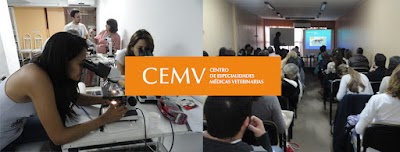 CEMV — Recoleta