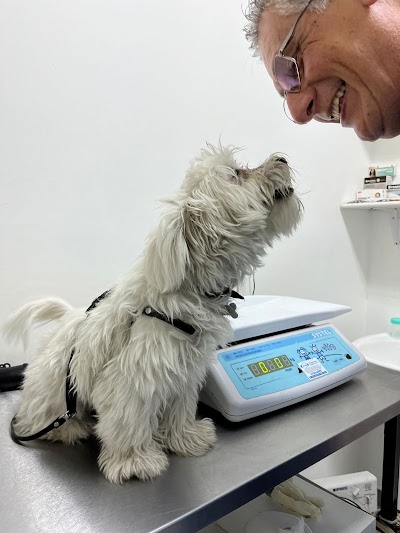 THE ANIMAL CENTER — Recoleta