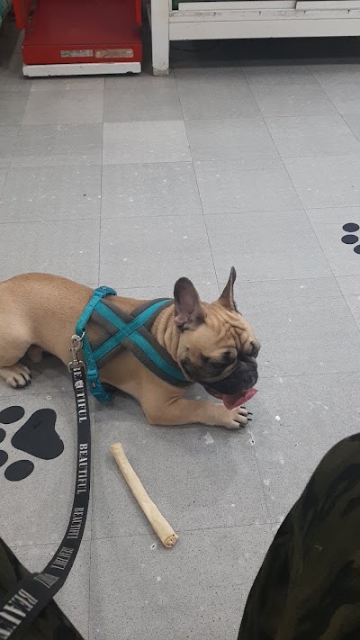 Amulen Veterinaria — La Boca