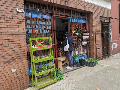 Puchis — Villa Urquiza