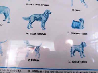 Consultorio Veterinario — Parque Patricios