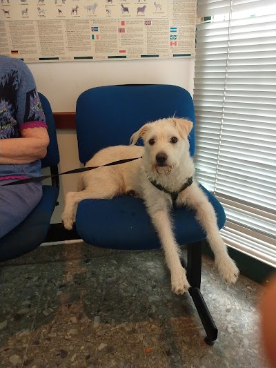 VETERINARIA Dr. SCARSI — Belgrano