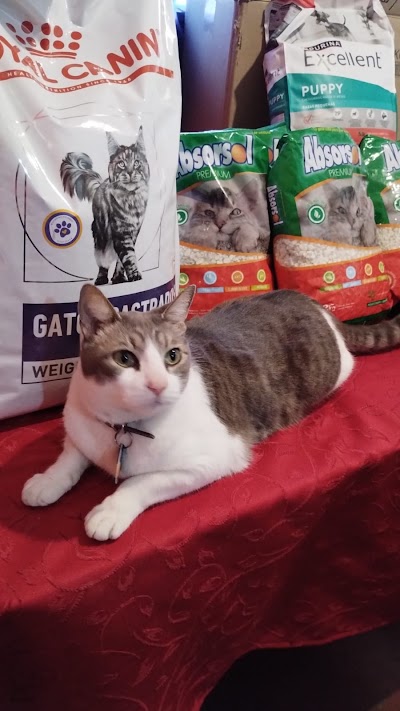 Coquiño Pet Shop™ — Saavedra
