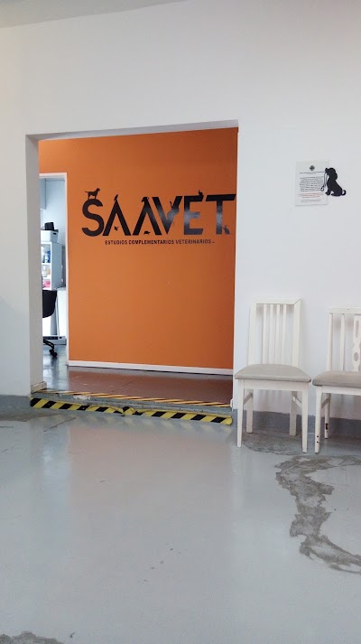 SAAVET — Saavedra