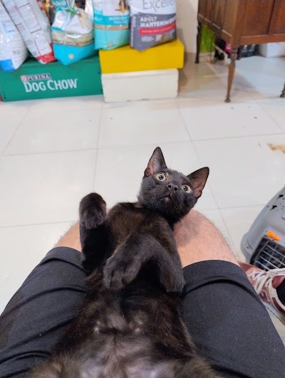 AMULEN (veterinaria) — Barracas