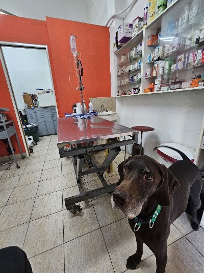 Clinica Veterinaria Dr Jose Gonzalez — Villa Urquiza