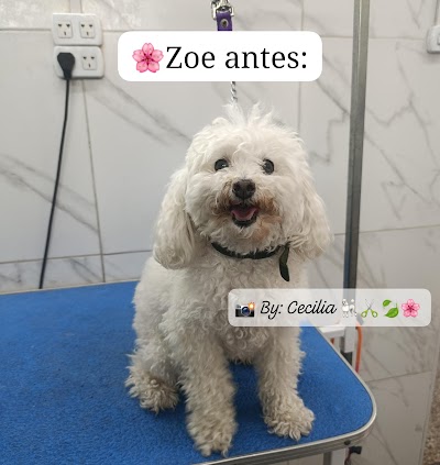 Veterinaria tiendapuppy, peluquería canina. — Parque Chacabuco