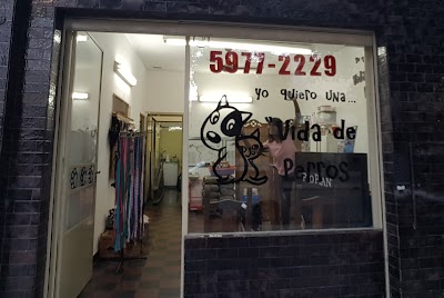 Veterinaria "Vida de perros" — Villa Urquiza