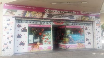 Chacabuco Animals — Parque Chacabuco