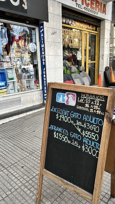 Her's Pet Boedo — Boedo