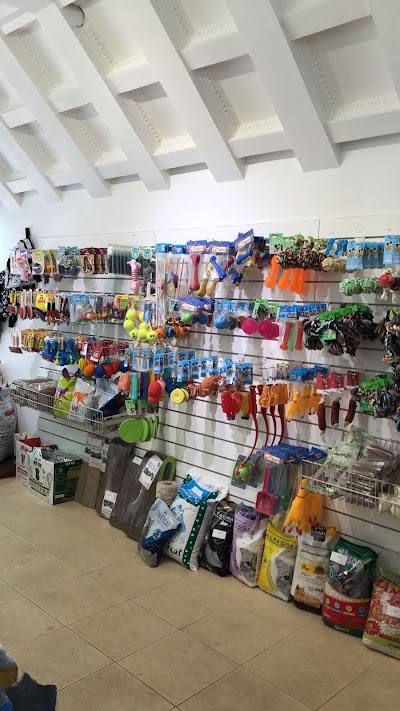 Cher Ami Veterinaria | Clínica Veterinaria | Pet shop | Baños Caninos — Recoleta