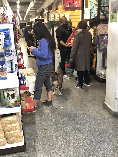 Dame La Pata Pet shop veterinaria y Peluquería — Balvanera
