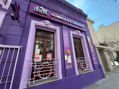 Leocan — Palermo