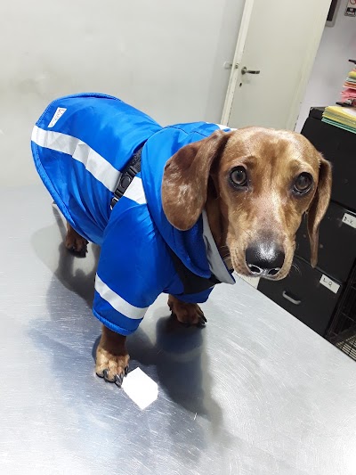 Animal Care — Belgrano