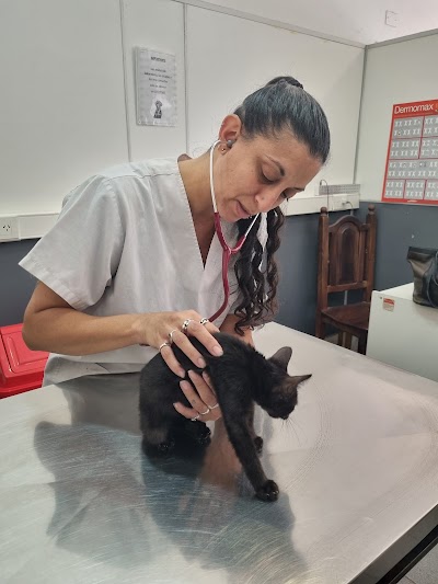 Clínica Veterinaria Asamblea — Parque Chacabuco