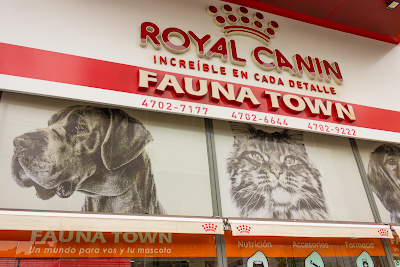 Fauna Town — Núñez