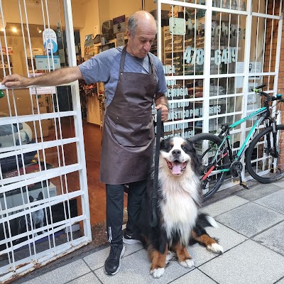 Clinica Veterinaria Manchitas Belgrano — Belgrano