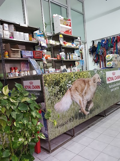 Cosentino Daniel N — Parque Patricios