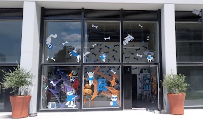 Pet Shop Dogs — Monserrat