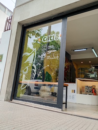 Shizu Cafe — Saavedra