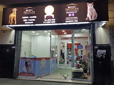Multimascota Once — Balvanera