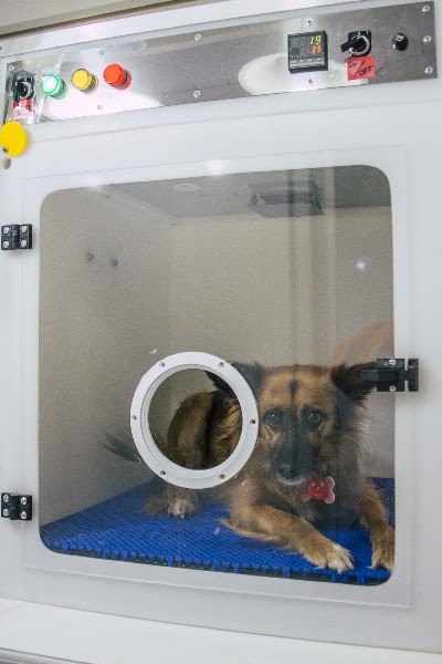 Leocan Veterinaria — Belgrano
