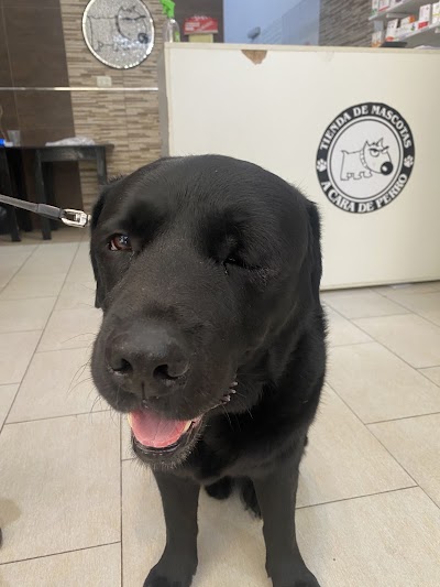 A Cara de Perro — Palermo