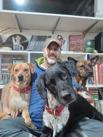Te llevo con tu humano Traslado de mascotas — Almagro
