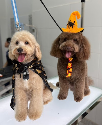 Golden Dogs veterinaria — Villa Urquiza