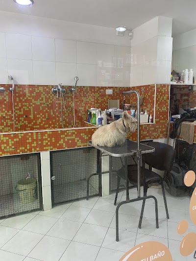 Mimados - Clínica Veterinaria - Internación - Radiografías - Peluquería - Academia Peluqueros — Barrio Norte