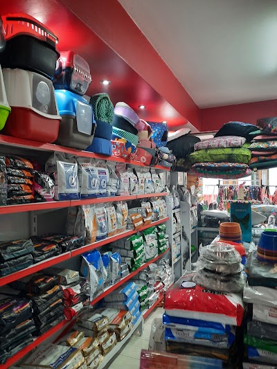 pajaro loco pet store 11 — Villa Urquiza