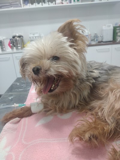 Veterinaria Panda — Villa Urquiza