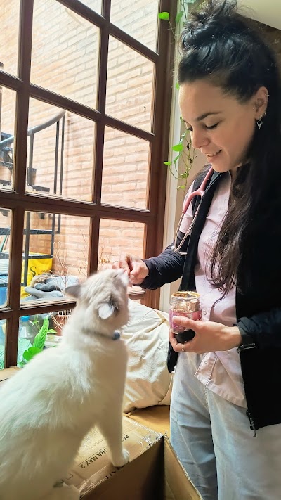 Veterinaria A Domicilio Dra Bárbara Hueso — Villa Urquiza