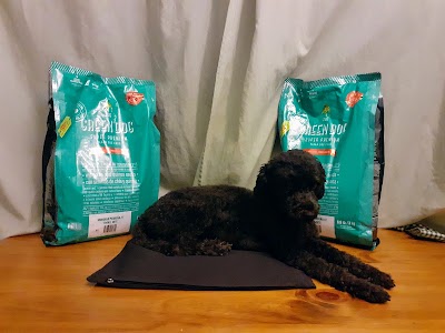 The Green Dog — Saavedra