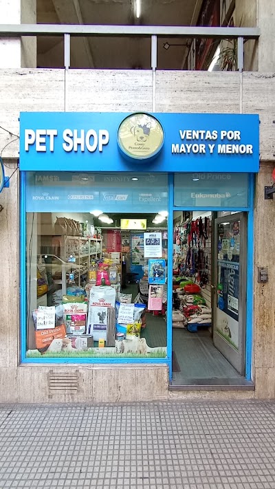 Como Perro y Gato — Belgrano