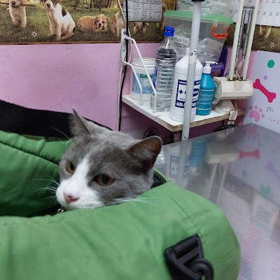 Las Mascotas de Fede — Villa Crespo